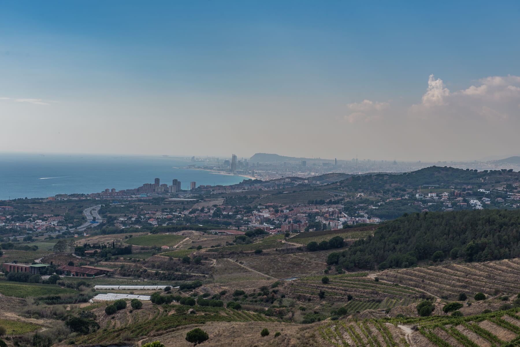 Vista a Barcelona i el mar des de les vinyes d'Alella